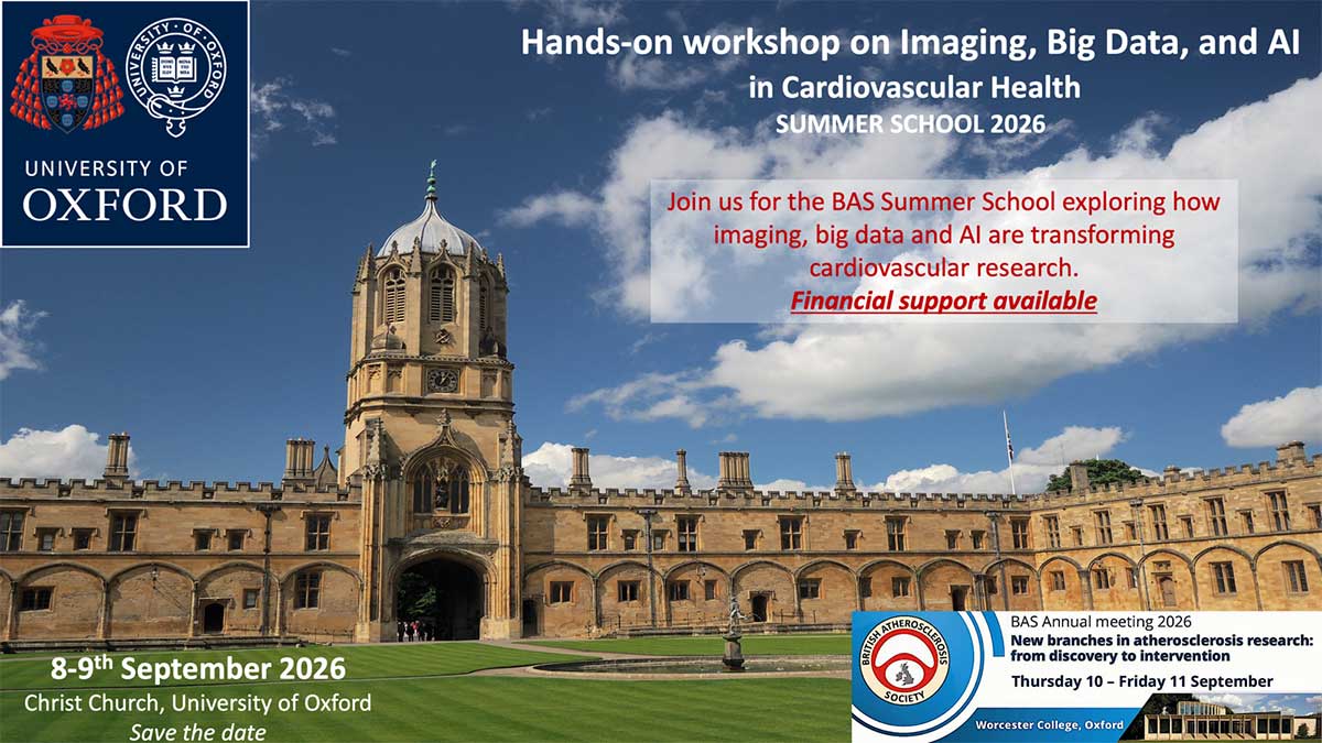 BAS Summer School